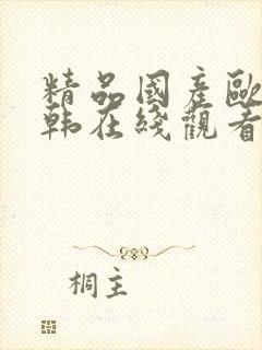 精品国产欧美日韩在线观看