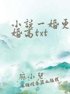 小说一婚更比一婚高txt