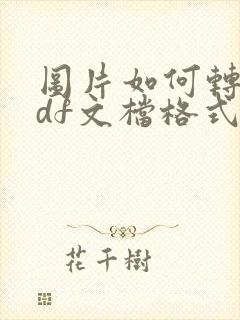 图片如何转成pdf文档格式