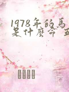 1978年的马是什么命 五行属什么