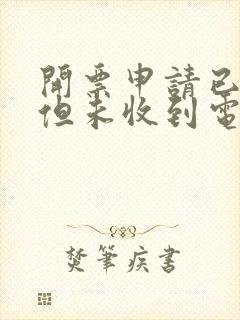开票申请已提交但未收到电子发票