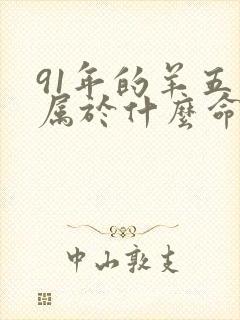 91年的羊五行属于什么命
