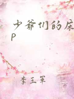 少爷们的床奴np