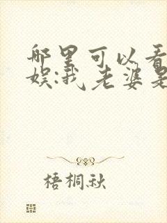 哪里可以看到华娱:我老婆是大明星完结版