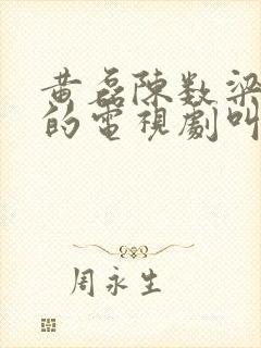 黄磊陈数梁静演的电视剧叫什么名字