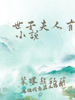 世子夫人有点甜 小说