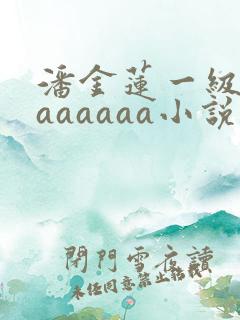 潘金莲一级淫片aaaaaa小说