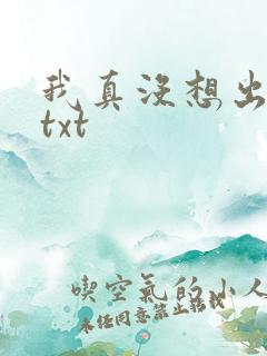 我真没想出名啊txt