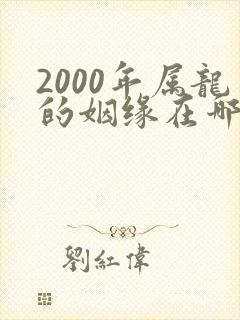2000年属龙的姻缘在哪年才会成功