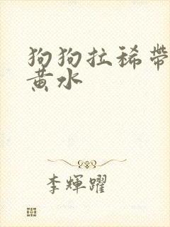 狗狗拉稀带血吐黄水