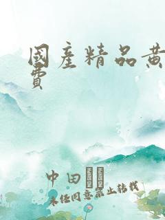 国产精品黄页免费