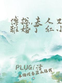 傅总,夫人又闹离婚了 红小果