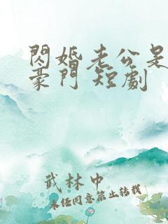闪婚老公是超级豪门 短剧