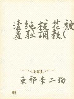 清纯校花被民工羞耻调教(