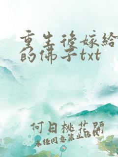 重生后嫁给渣过的佛子txt