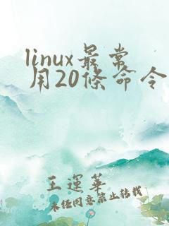 linux最常用20条命令汇总