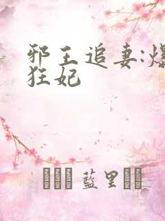 邪王追妻:爆宠狂妃
