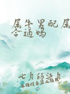 属牛男配属兔女合适吗