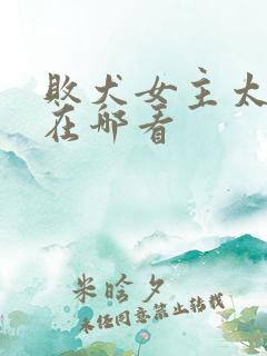 败犬女主太多了在哪看