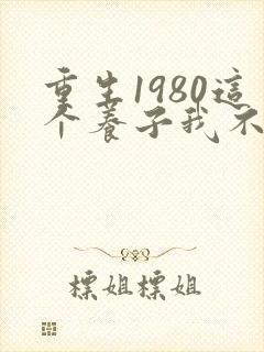 重生1980这个养子我不当了短剧