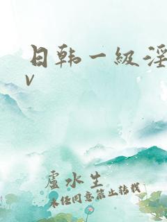 日韩一级淫片av