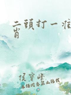 二头打一准确生肖