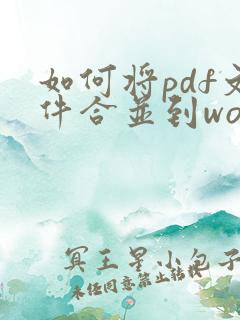 如何将pdf文件合并到word