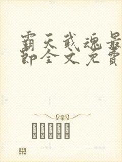 霸天武魂最新章节全文免费阅读
