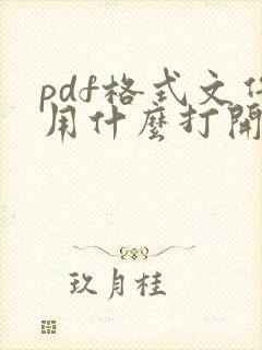 pdf格式文件用什么打开