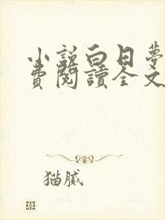 小说白日梦我免费阅读全文