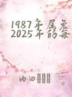 1987年属兔2025年的每月运程