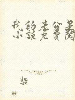 我的老公是阎王小说免费阅读