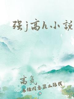 强j高h小说