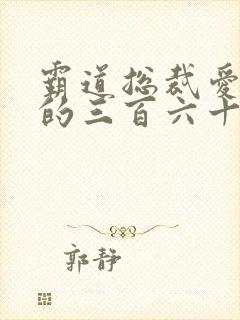 霸道总裁爱上我的三百六十天