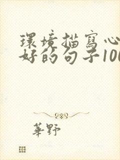 环境描写心情不好的句子100字