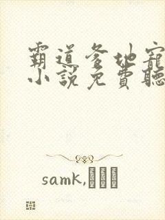 霸道爹地宠又撩小说免费听书