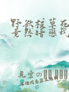 野欲校草死对头竟然暗恋我小说