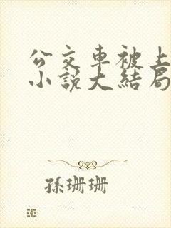 公交车被上高潮小说大结局