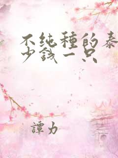 不纯种的泰迪多少钱一只