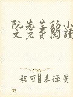 阮先生的小说全文免费阅读无弹窗