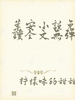 叶安小说免费阅读全文无弹窗