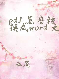 pdf 怎么转换成word 文档软件