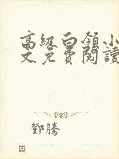 高级白领小说全文免费阅读无弹窗