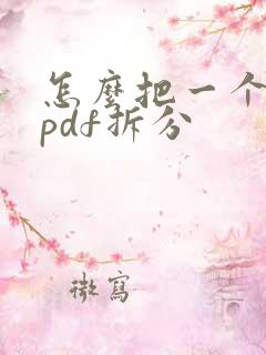 怎么把一个大的pdf拆分