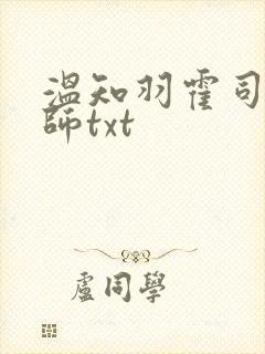 温知羽霍司砚律师txt