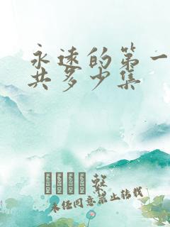 永远的第一名一共多少集