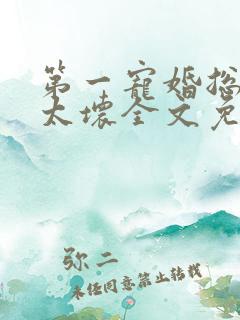 第一宠婚总裁别太坏全文免费