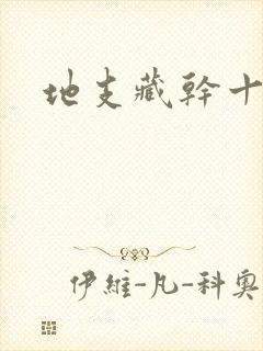 地支藏干十神表