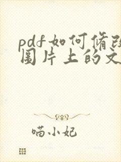 pdf如何修改图片上的文字