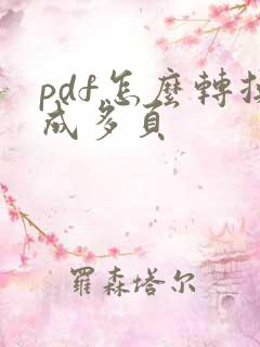 pdf怎么转换成多页